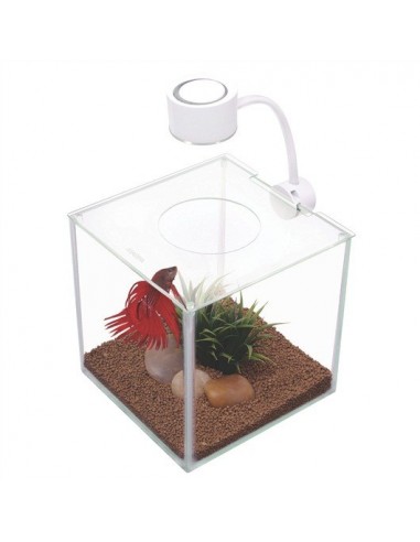 MARINA BETTA KIT CUBUS 3,4 LTS