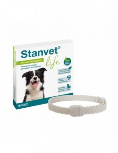 Stangest Collar Stanvet...