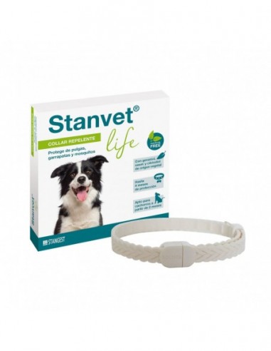 Stangest Collar Stanvet Life Perro