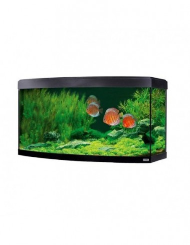 FLUVAL ACUARIO  VICENZA 260 LED