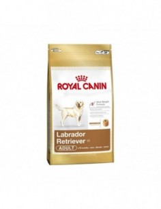 Royal Canin Labrador...