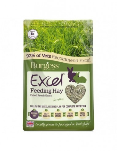 Burgess Excel heno pasto natural 1Kg