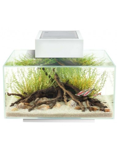 FLUVAL EDGE LED 2.0 23 litros Blanco