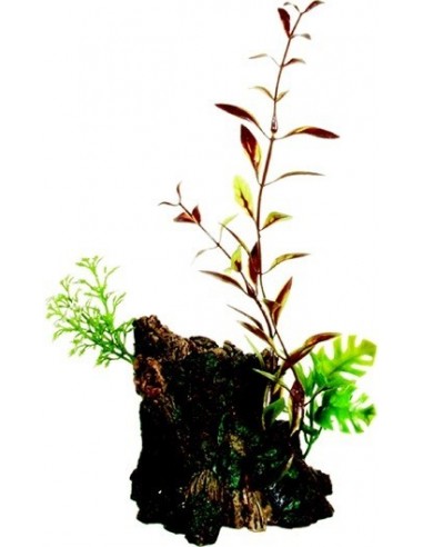 MARINA DECO WOOD TRONCO CON PLANTAS MED.