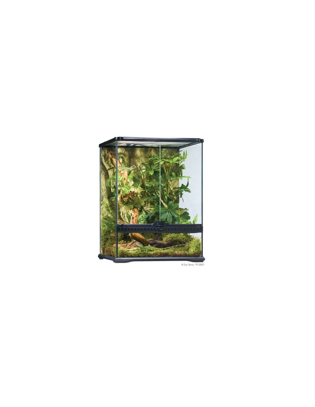 EXO TERRA TERRARIO PEQ 120 L Tall 45x45x60 cms