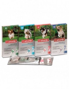 Advantix Bayer 4p 1-4kg  