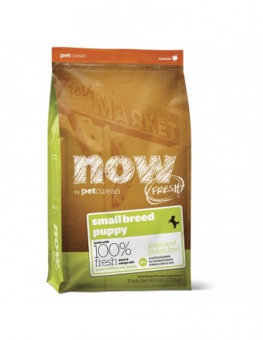 Now Grain Free Puppy Small Breed 2,7 kg