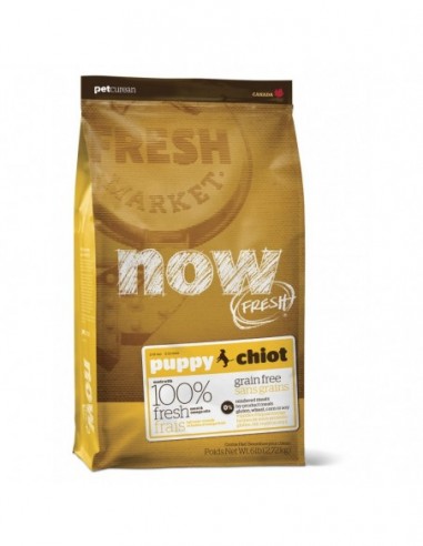 Now Grain Free Puppy Dog 11,3kg