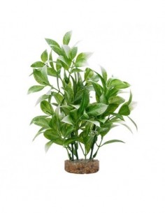 Fluval Plant Ludwigia...