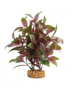 Fluval Plant Ludwigia...