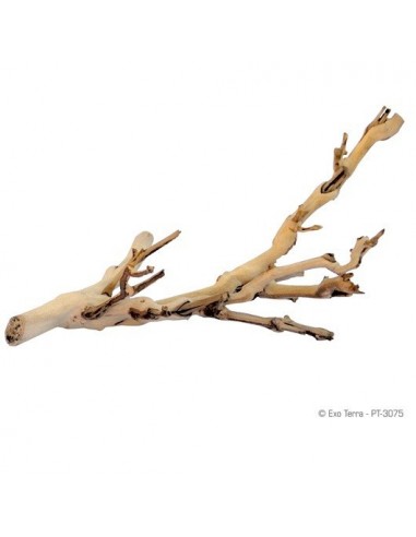 EXO TERRA FOREST BRANCH Peq. 30 cm