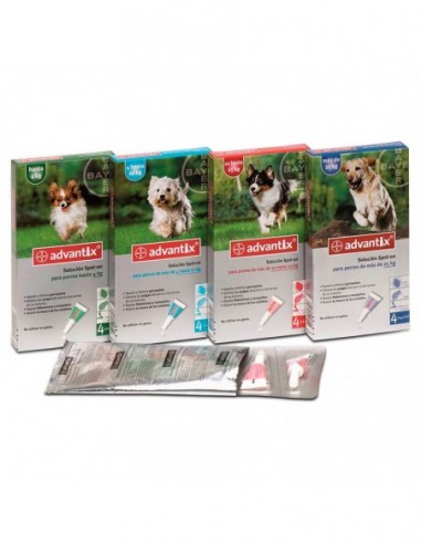 Advantix Bayer 4p 4-10kg import...