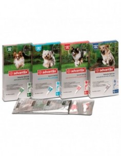 Advantix Bayer (4p) 10-25kg...