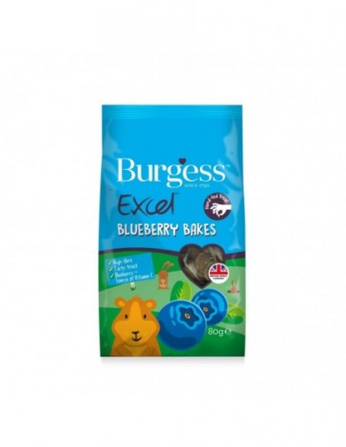 Burgess excel galletas arándanos 80 grs