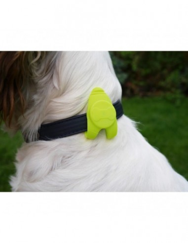 Rosewood led luminoso para collar grande