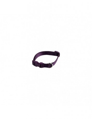 Collar ajustable nylon 10mmx20-30cm,...