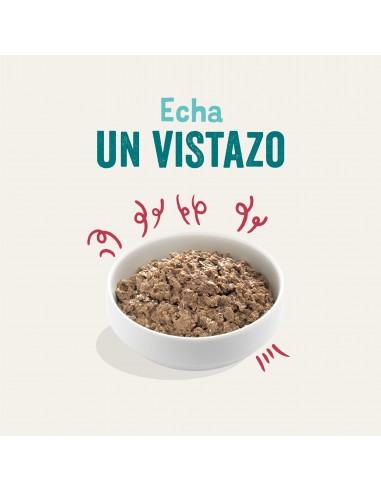 Tarrina adultos venado ecológico 100 gr