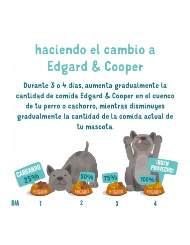 Salmón y pollo de corral ecológico 7...