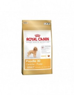 Royal Canin Poodle 30 1,5 kg