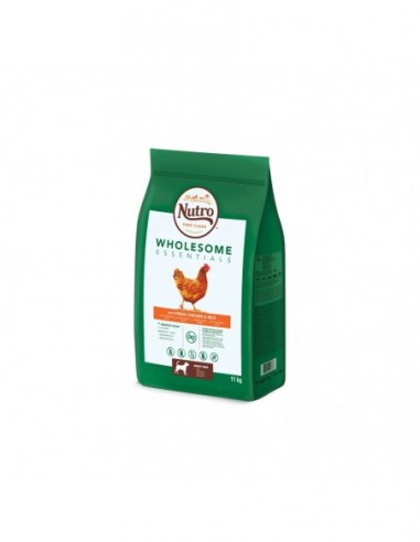 Nutro Wholesome adult med pollo 11kg