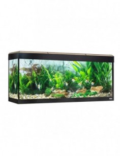 Fluval Roma Acuario 240 l...