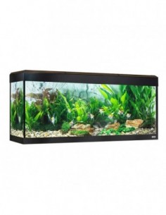 Fluval Roma Acuario 240 l...