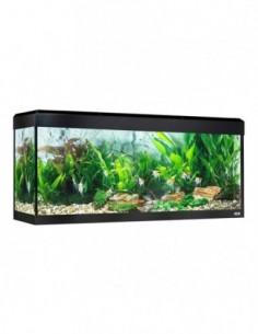 Fluval Roma Acuario 240 l...