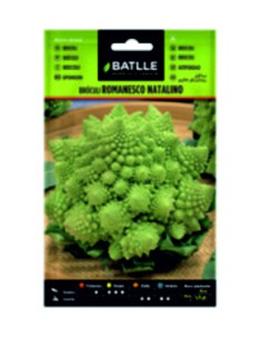 Brócoli romanescu natalino