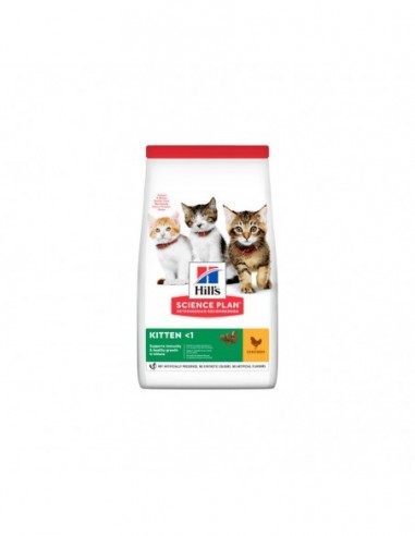 Hills feline kitten pollo 300 g