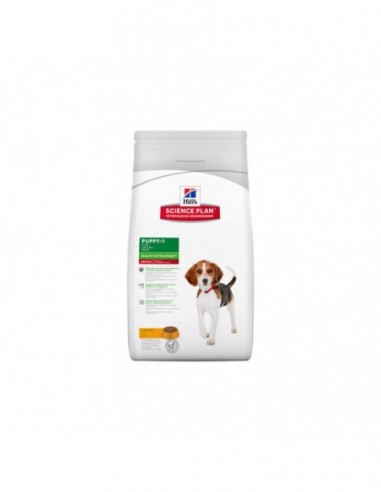 Hills Puppy Razas Medianas Pollo 3 kg