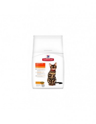 Hills Feline Adult Light con Pollo 1,5kg