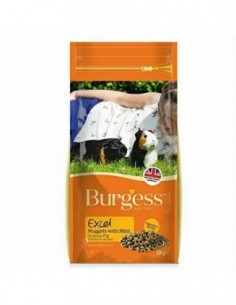 Burgess Excel Cobaya con...