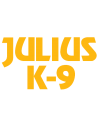 JULIUS